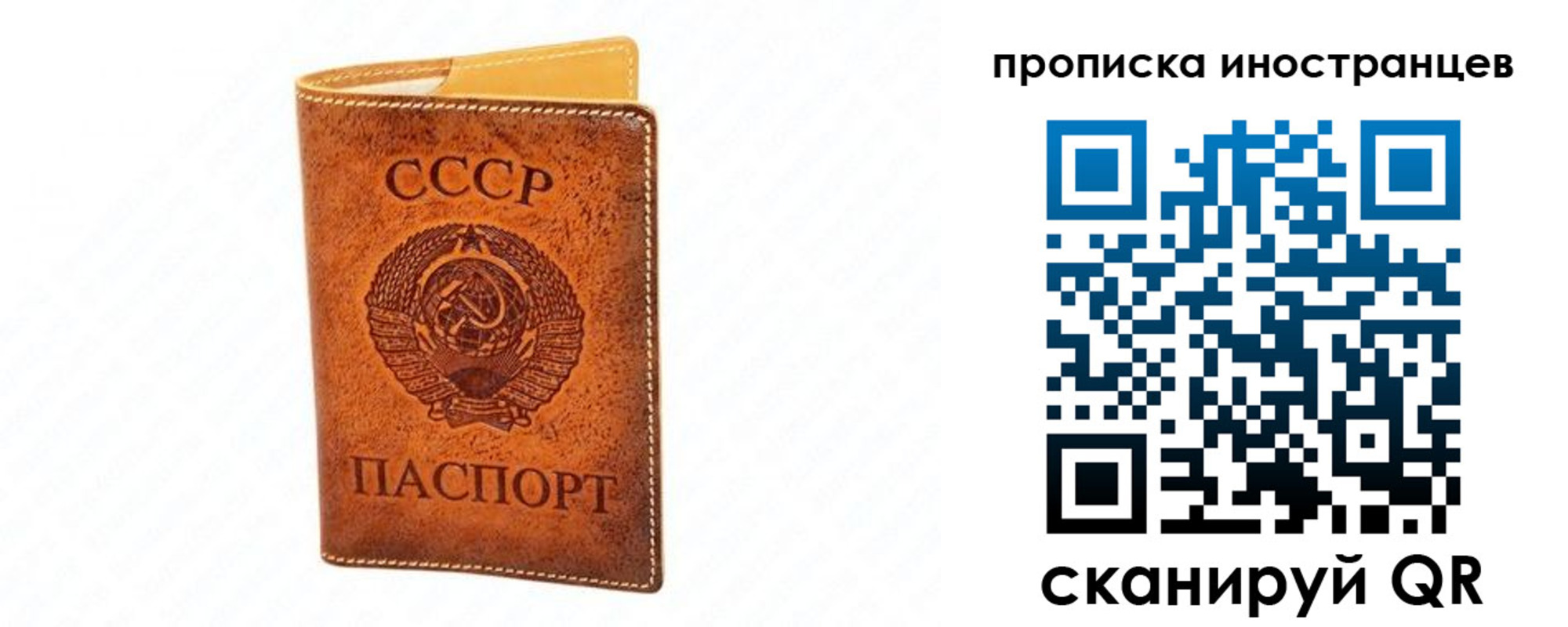 прописка для школы в Михайлове